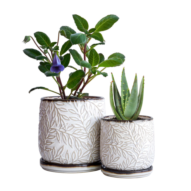 D'vine Dev Set of 2 Stoneware Planter Pots, Ceramic Pot with Drainage Hole  and Saucers, 4.5 Inch 5.8 Inch, Dark Blue Green, 99-D-TB