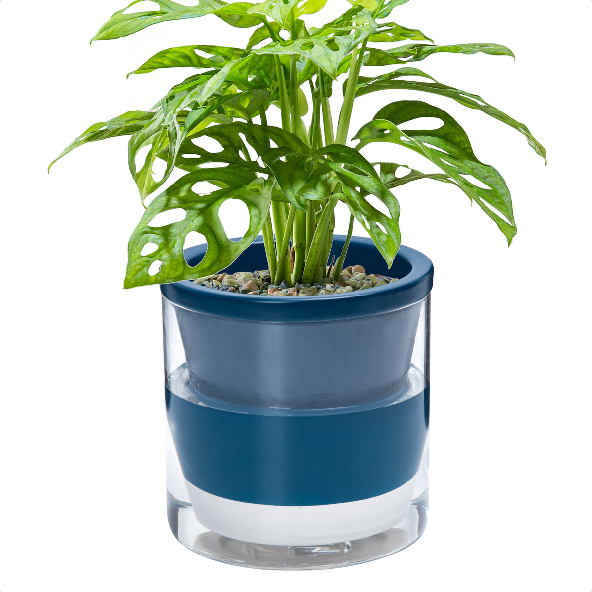 D'vine Dev Self Watering Pots, Terracotta Planter with Glass Cup  D'VINE  DEV