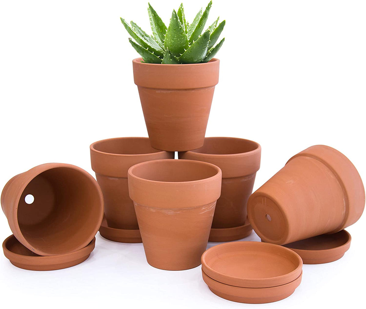 Classic Terracotta Pots with Tray, 5 Inch, Pack of 6 – D'VINE DEV