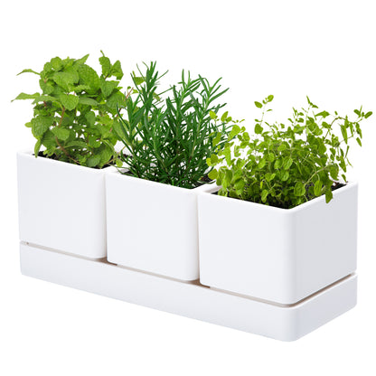 Uncompromising Plastic Herb Garden Planter Set