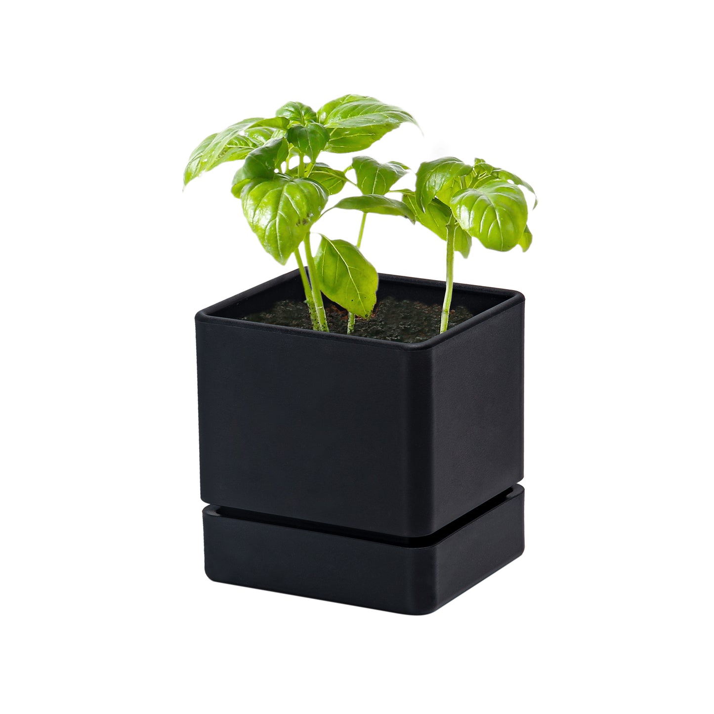 Uncompromising Plastic Herb Planter Indoor