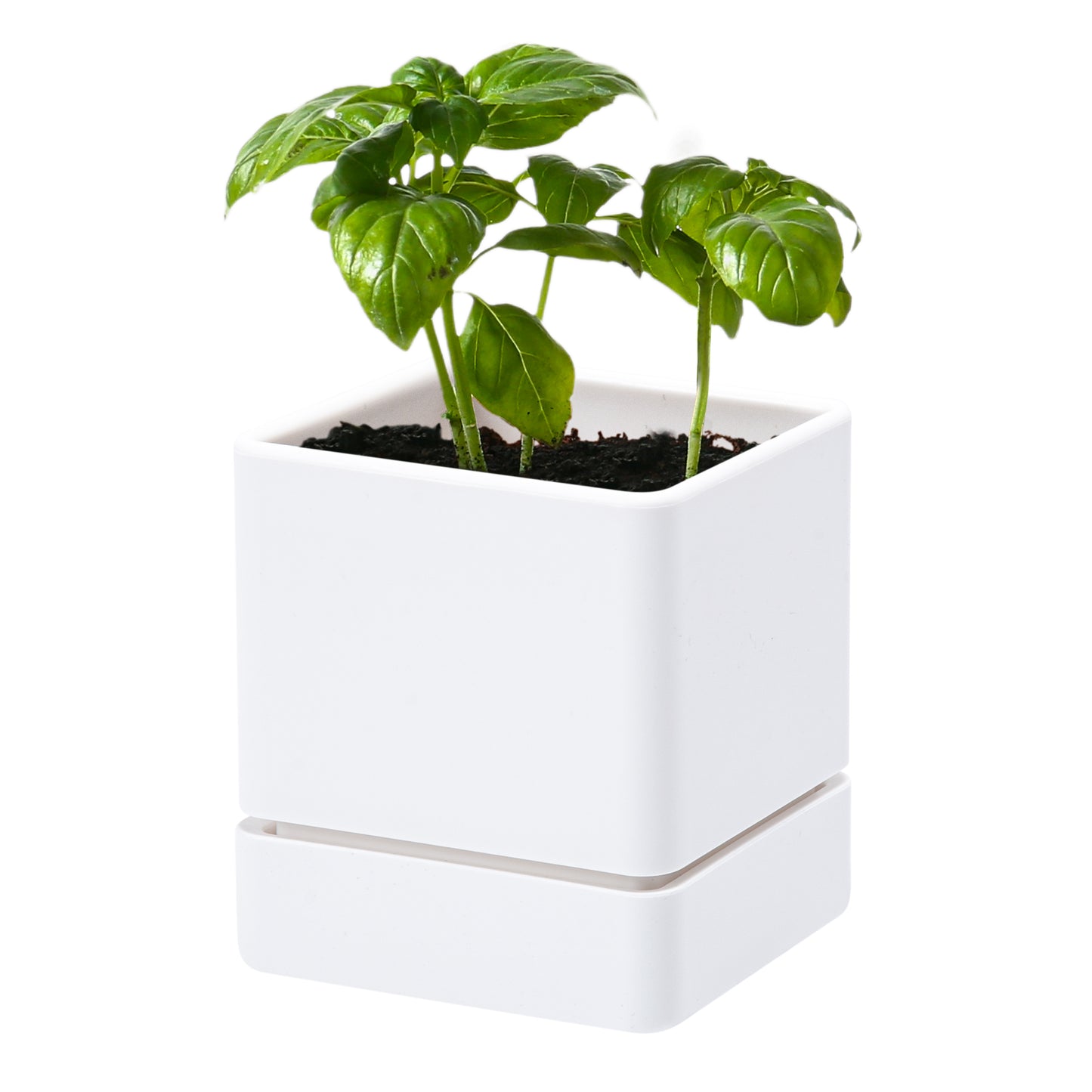 Uncompromising Plastic Herb Planter Indoor