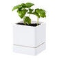 Uncompromising Plastic Herb Planter Indoor