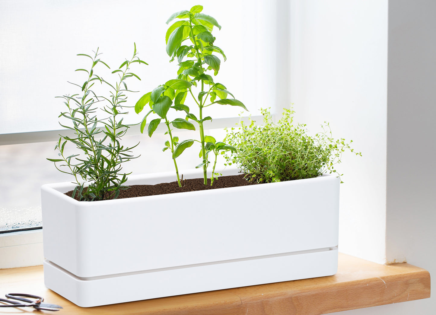 Uncompromising Plastic 12" Rectangle Herbs Planter