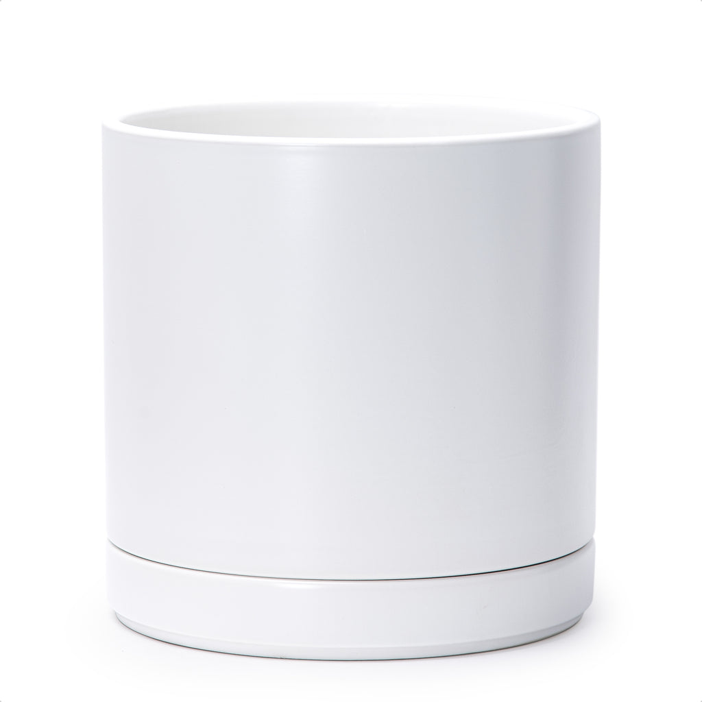 white round ceramic plant pots Cylindrical Ceramic Pot, 10", White, 94-O – D'VINE DEV