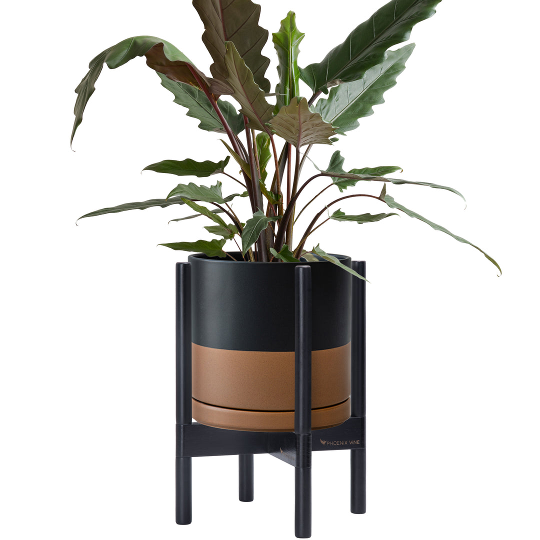 large plant pot with wooden stand Ceramic Planter with Walnut Color Stand