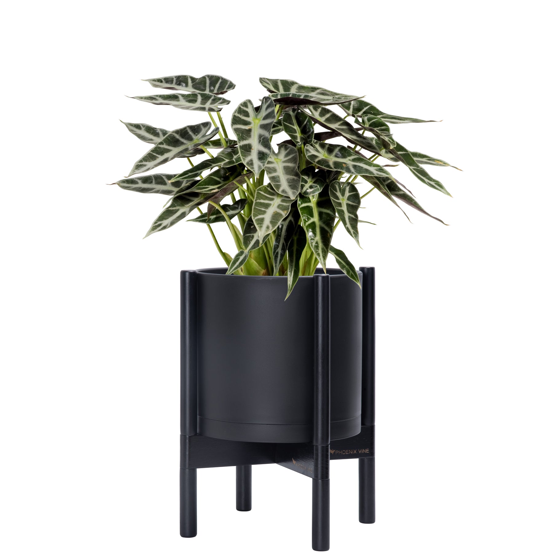 plastic planter with stand 10" Black Plastic Planter with Ebony Stand