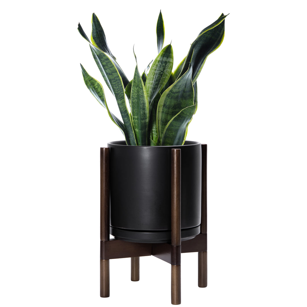 Ceramic Planter with Walnut Color Stand
