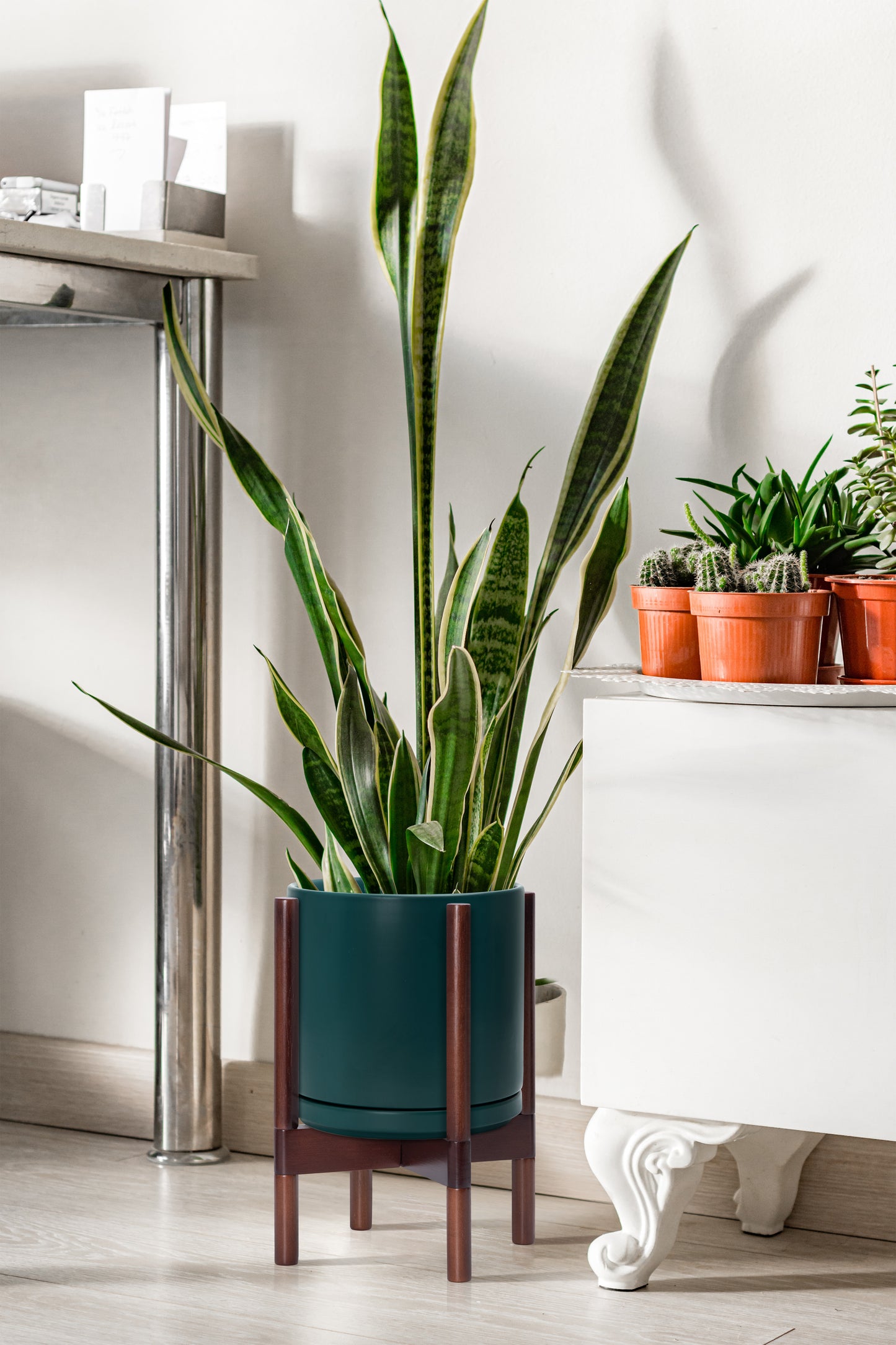 Ceramic Planter with Wood Stand