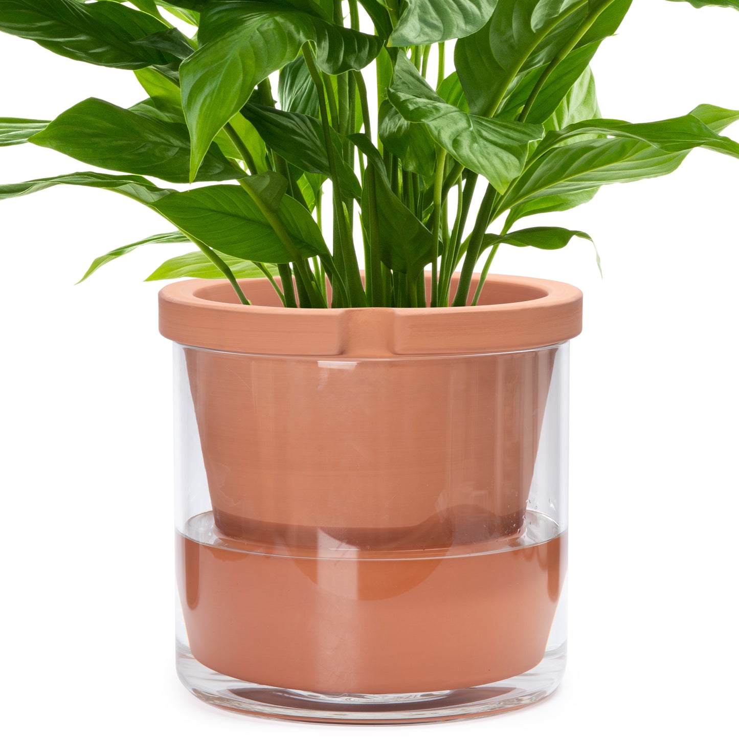 Self Watering Pot for Indoor Plants, 372