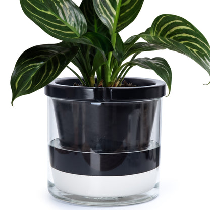 Self Watering Pot for Indoor Plants, Black, 374