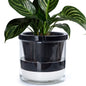 Self Watering Pot for Indoor Plants, Black, 374