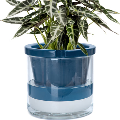 Self Watering Pot for Indoor Plants, Blue, 375