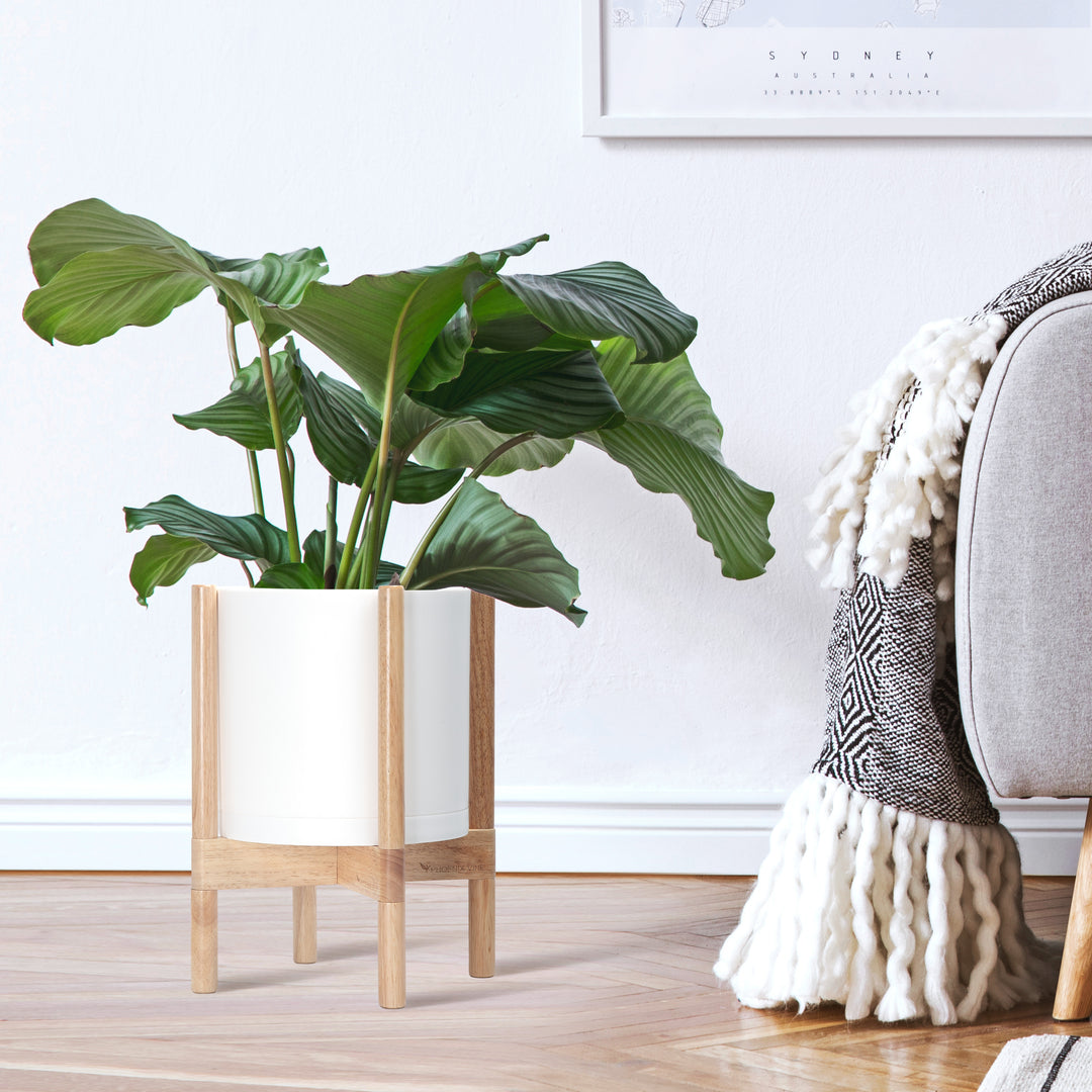 white plant pot with wooden legs 10" White Plastic Planter with Natural Stand – D'VINE DEV
