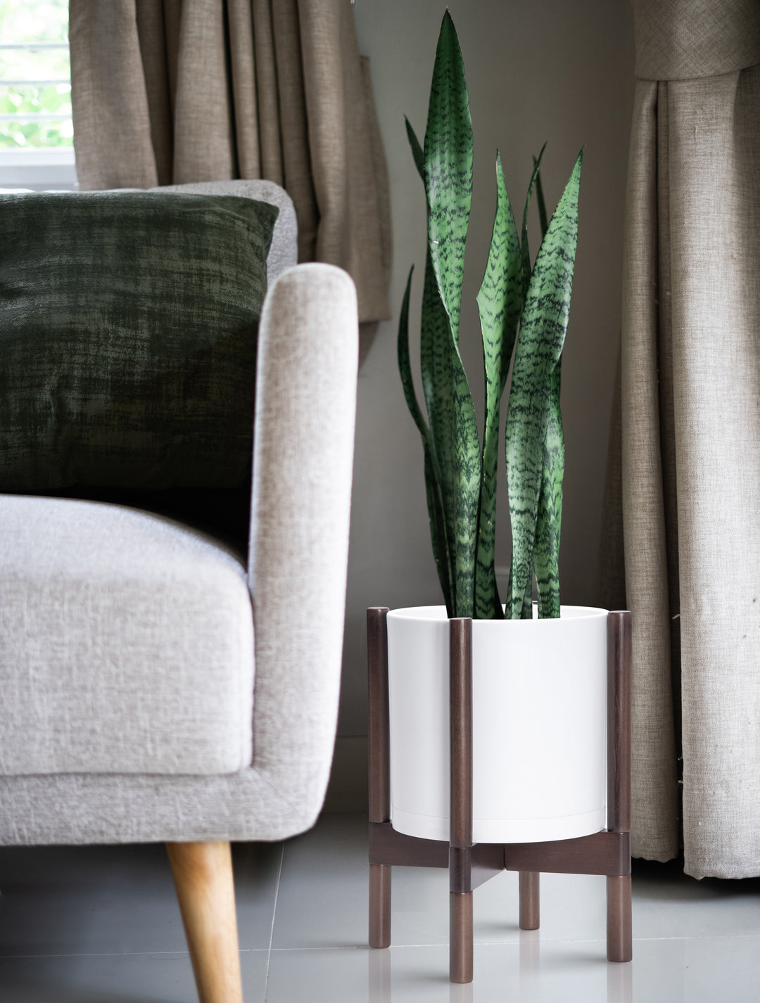 walnut plant pot 10