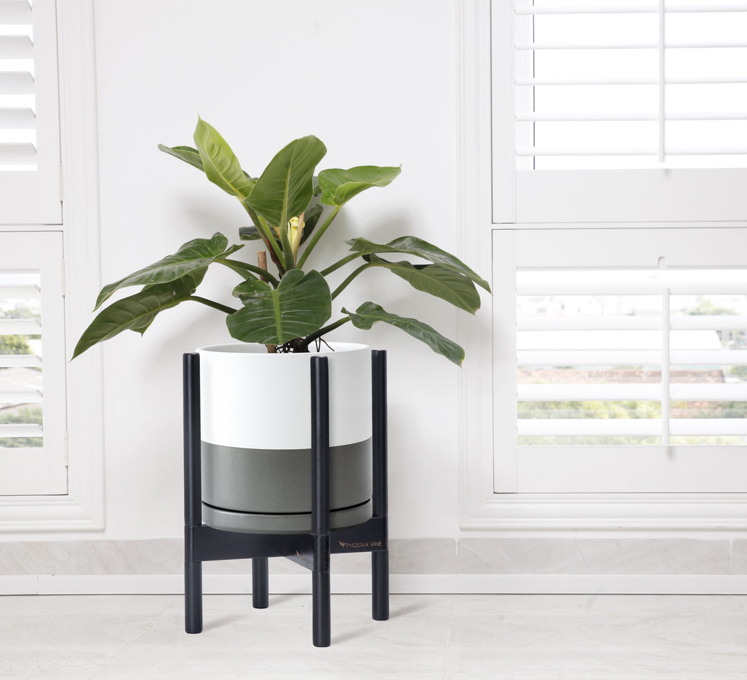 mid century modern plant pot Ceramic Planter with Walnut Color Stand