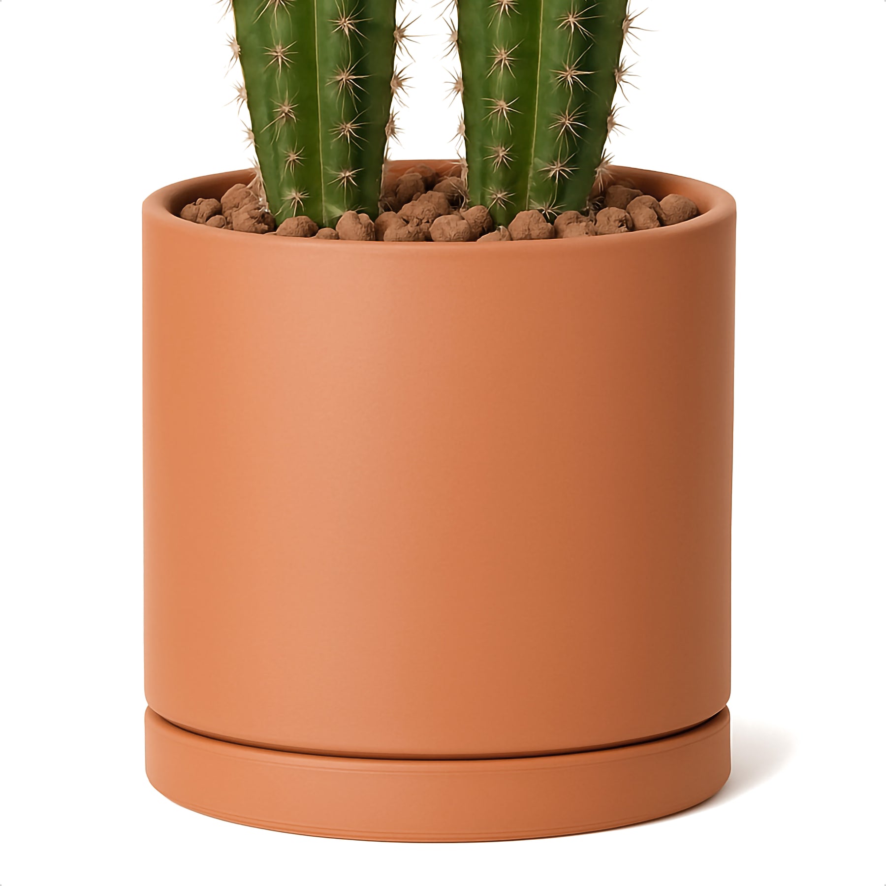 10 inch pot plant Terracotta Plant Pot with Saucer, 10 Inch, 40-X