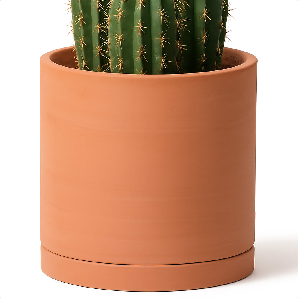 Terracotta Plant Pot with Saucer