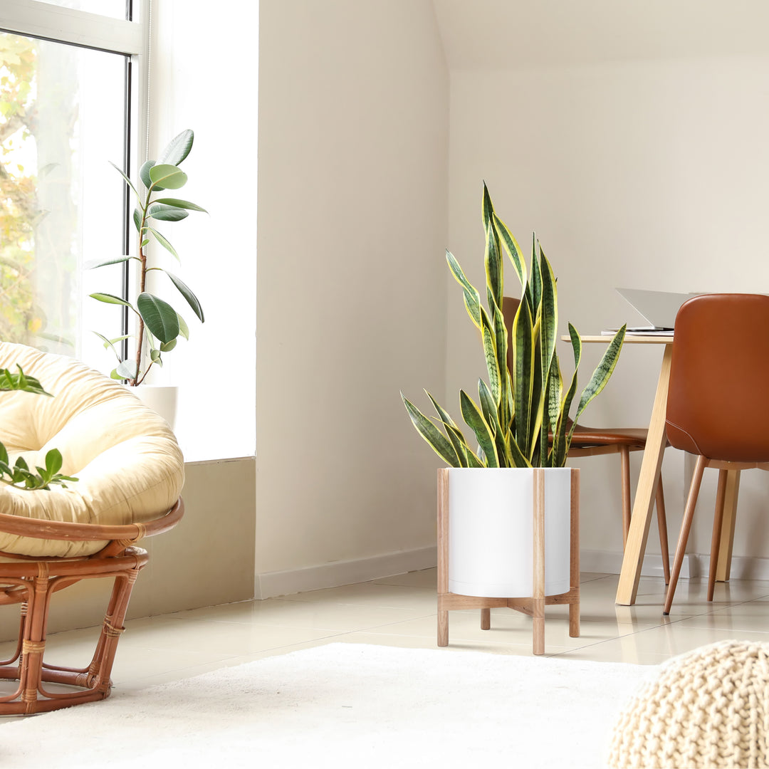 white ceramic plant pot with stand 14" White Plastic Planter with Natural Stand – D'VINE DEV