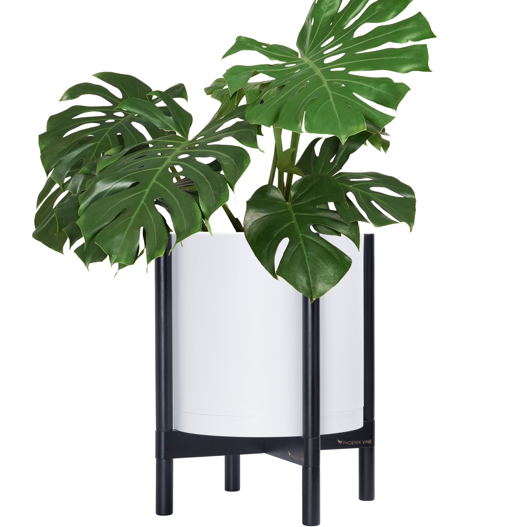 14 plastic planter 14" White Plastic Planter with Ebony Stand – D'VINE DEV
