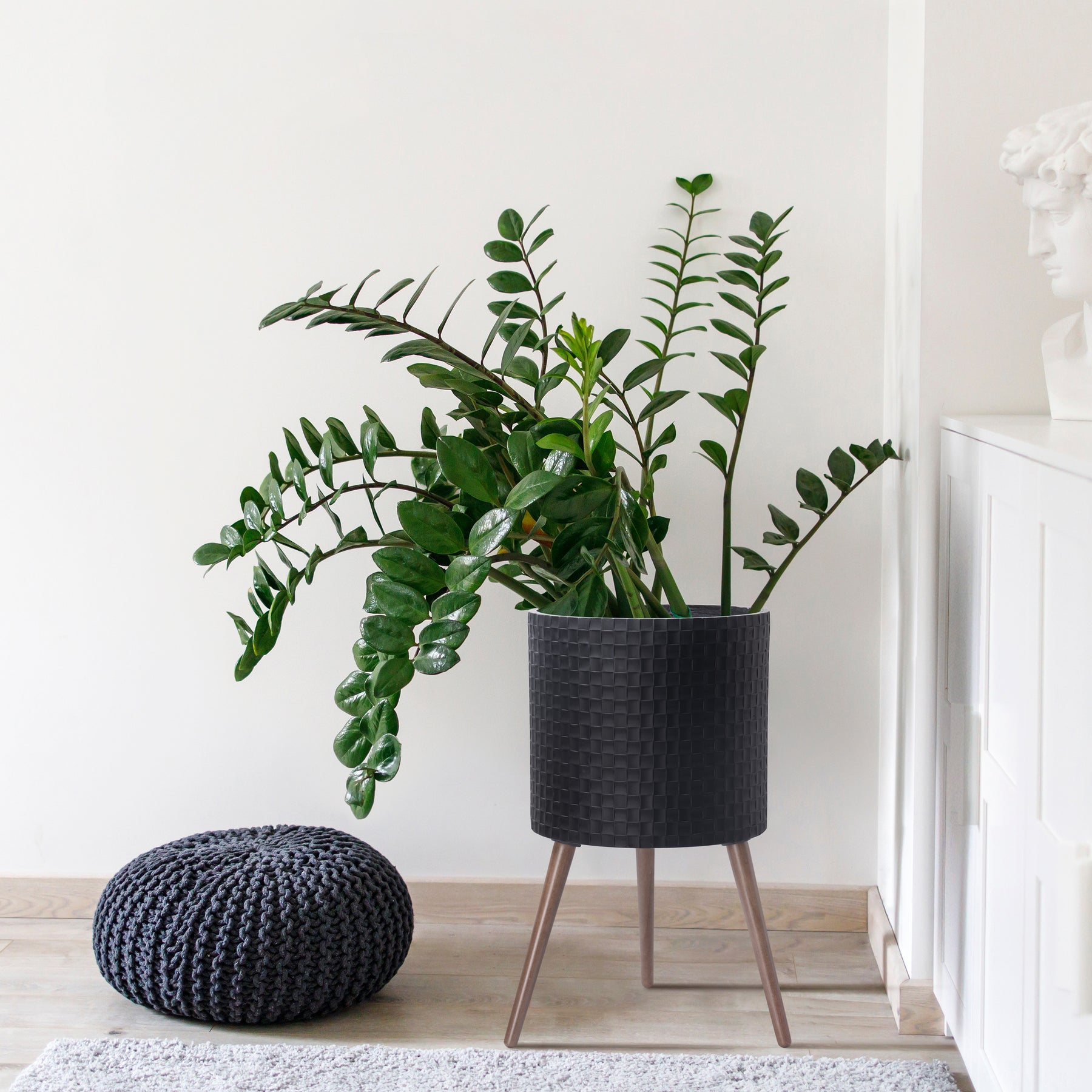 matte black indoor planter D'vine Dev