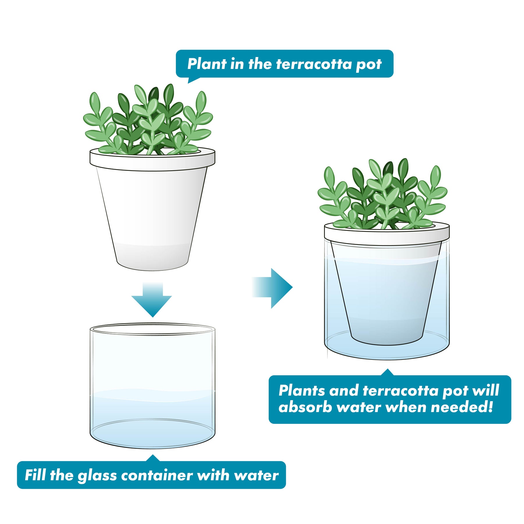 INSERTO PER FIORIERA Autoirrigante, Irrigatore Automatico Per Piante da INSERTO PER FIORIERA Autoirrigante, Irrigatore Automatico Per Piante da