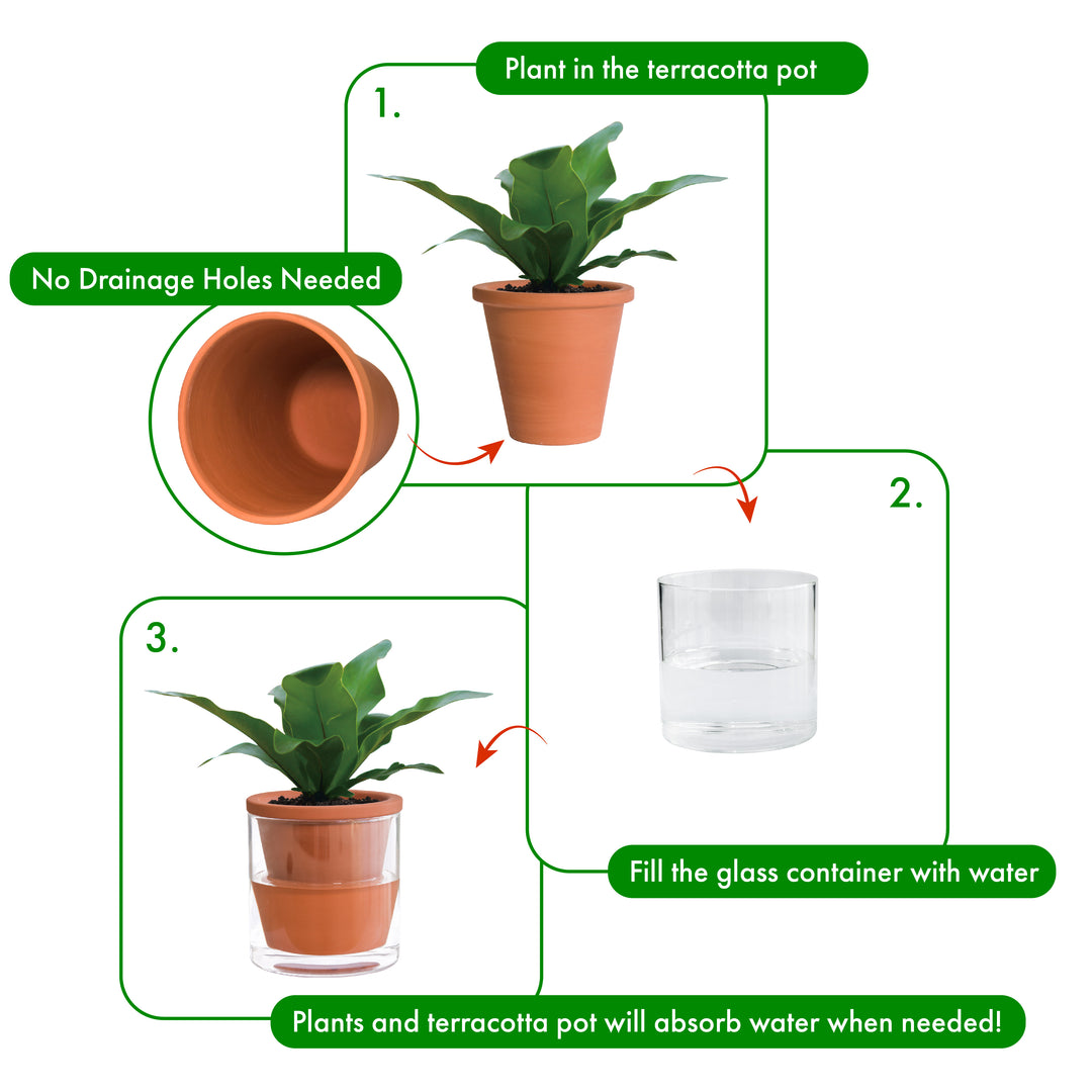 glass plant pots with drainage D'vine Dev Self Watering Pots, Terracotta Planter with Glass Cup – D'VINE  DEV
