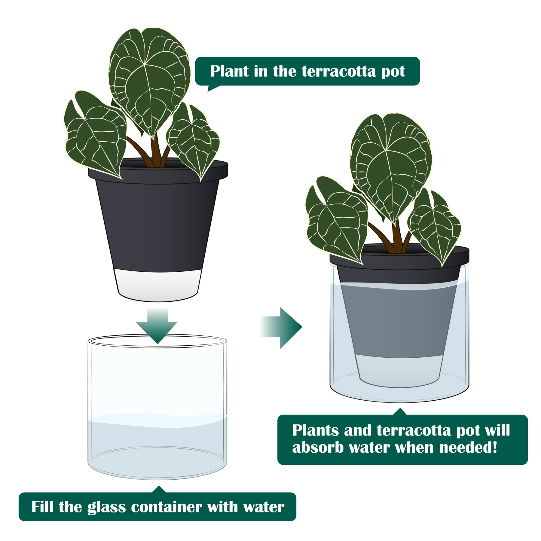 indoor plant pots with water reservoir D'vine Dev Self Watering Pots, Terracotta Planter with Glass Cup – D'VINE DEV