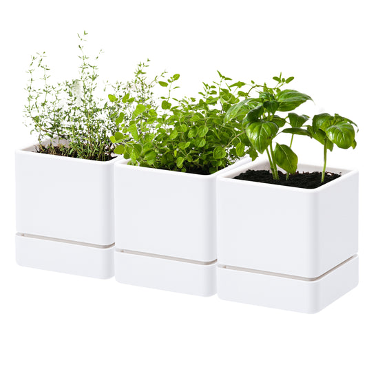 Uncompromising Plastic Herb Planter Indoor