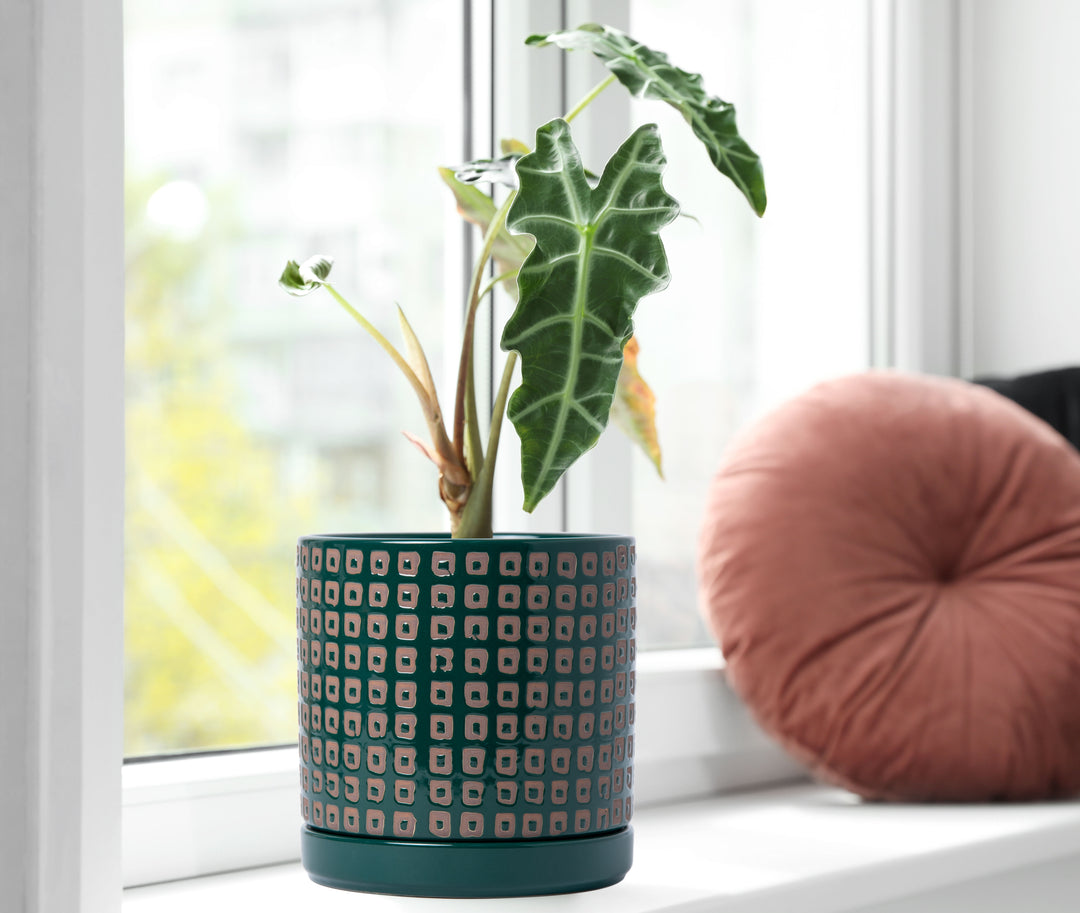 glazed terracotta plant pots Linea Planter Set of 3 main image 1