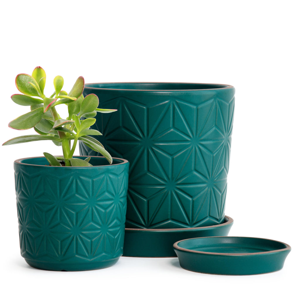 turquoise indoor plant pot Geometric Embossed Stoneware Planter, Teal Blue – D'VINE DEV