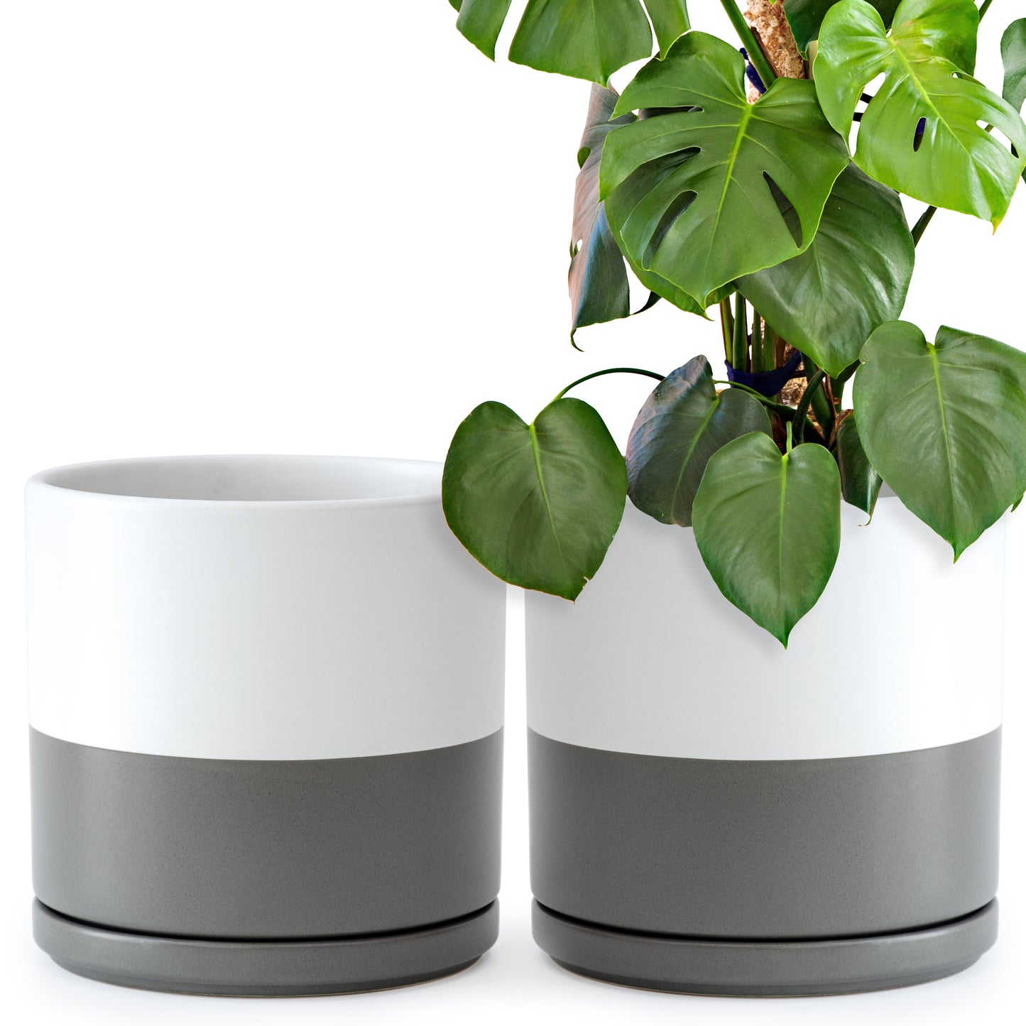 Ceramic Cylinder Pot with Tray, Set of 2, 4 Inch/6 Inch/8 Inch/10 Inch