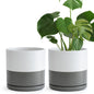 Ceramic Cylinder Pot with Tray, Set of 2, 4 Inch/6 Inch/8 Inch/10 Inch