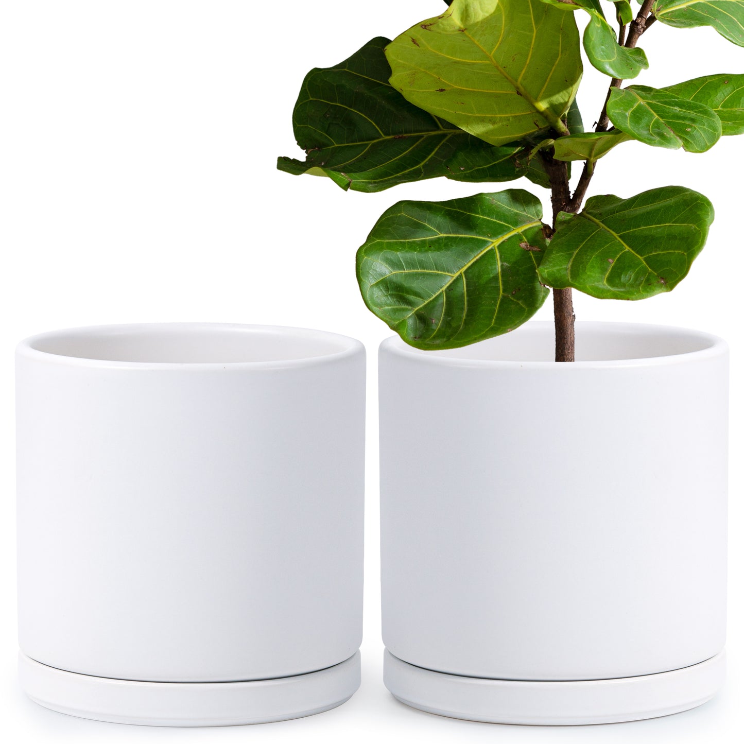 Ceramic Cylinder Pot with Tray, Set of 2, 4 Inch/6 Inch/8 Inch/10 Inch