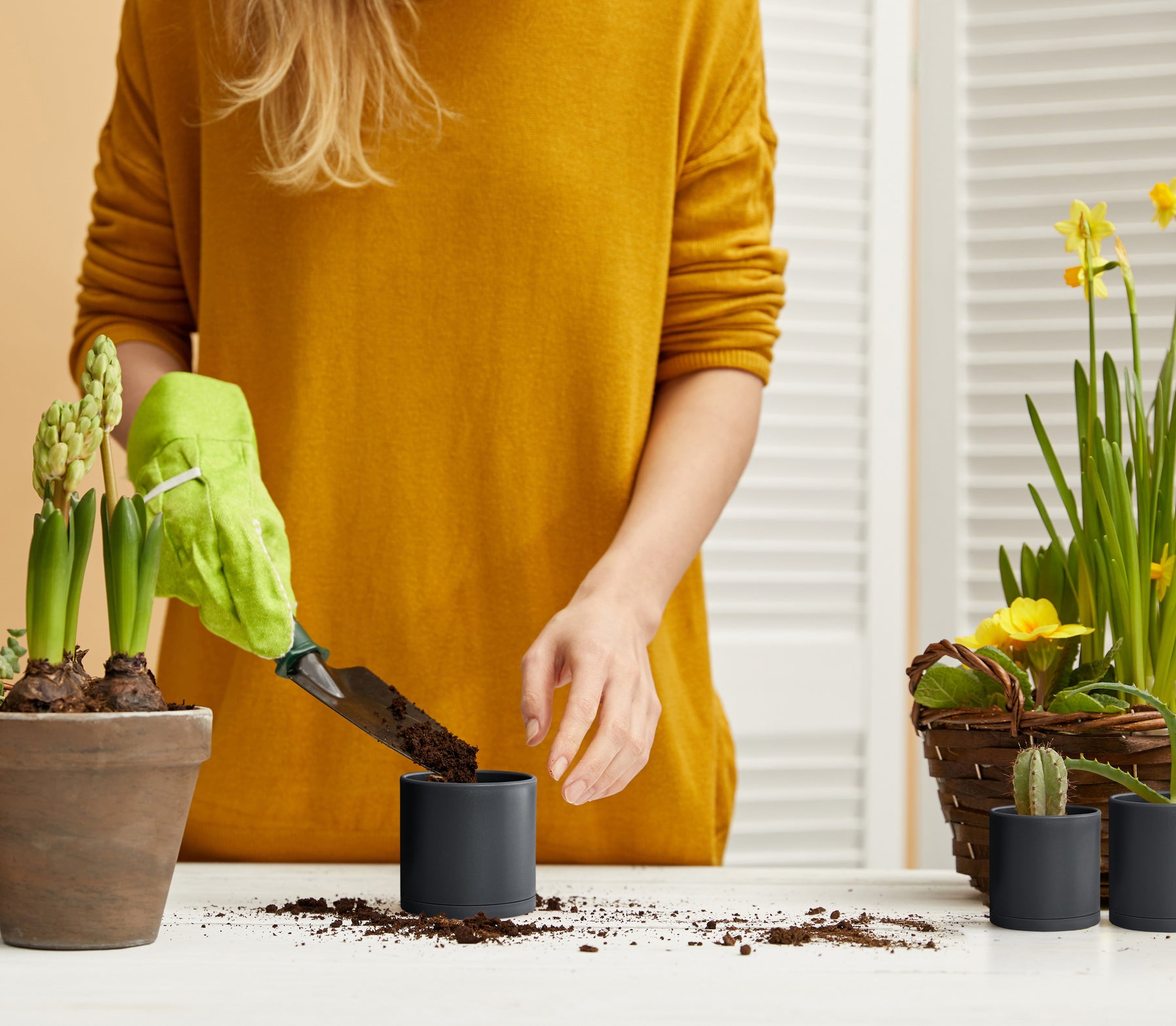 tiny plastic plant pots 12 Pack 3 Inch Mini Plastic Plant Pots, Black, 74-Y