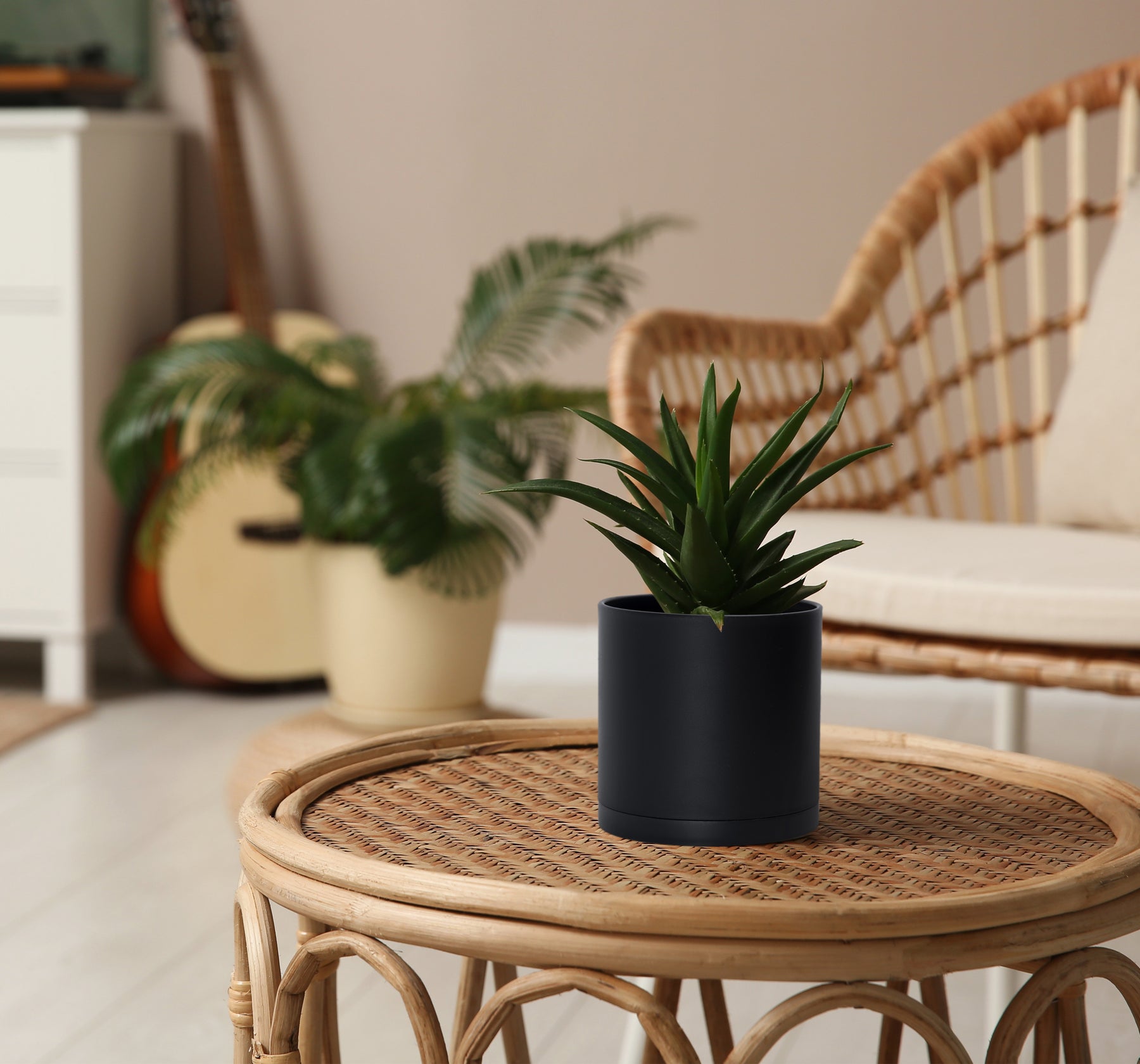 4.5 inch plant pot D'vine Dev
