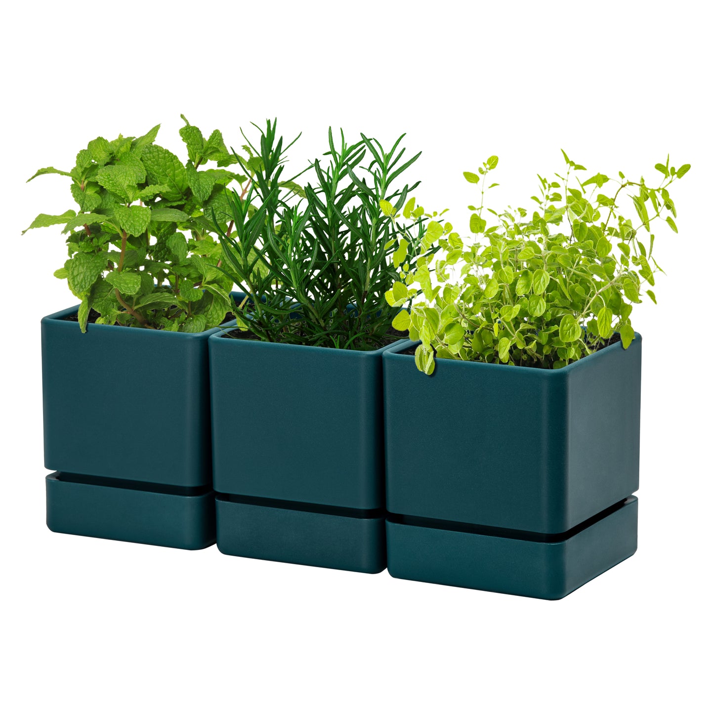 Uncompromising Plastic Herb Planter Indoor