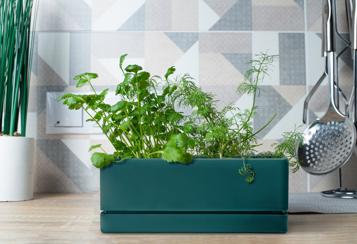 Uncompromising Plastic 12" Rectangle Herbs Planter