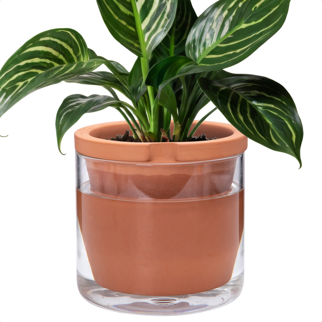 Self Watering Pot for Indoor Plants, Terracotta, 8 Inch, Set of 1
