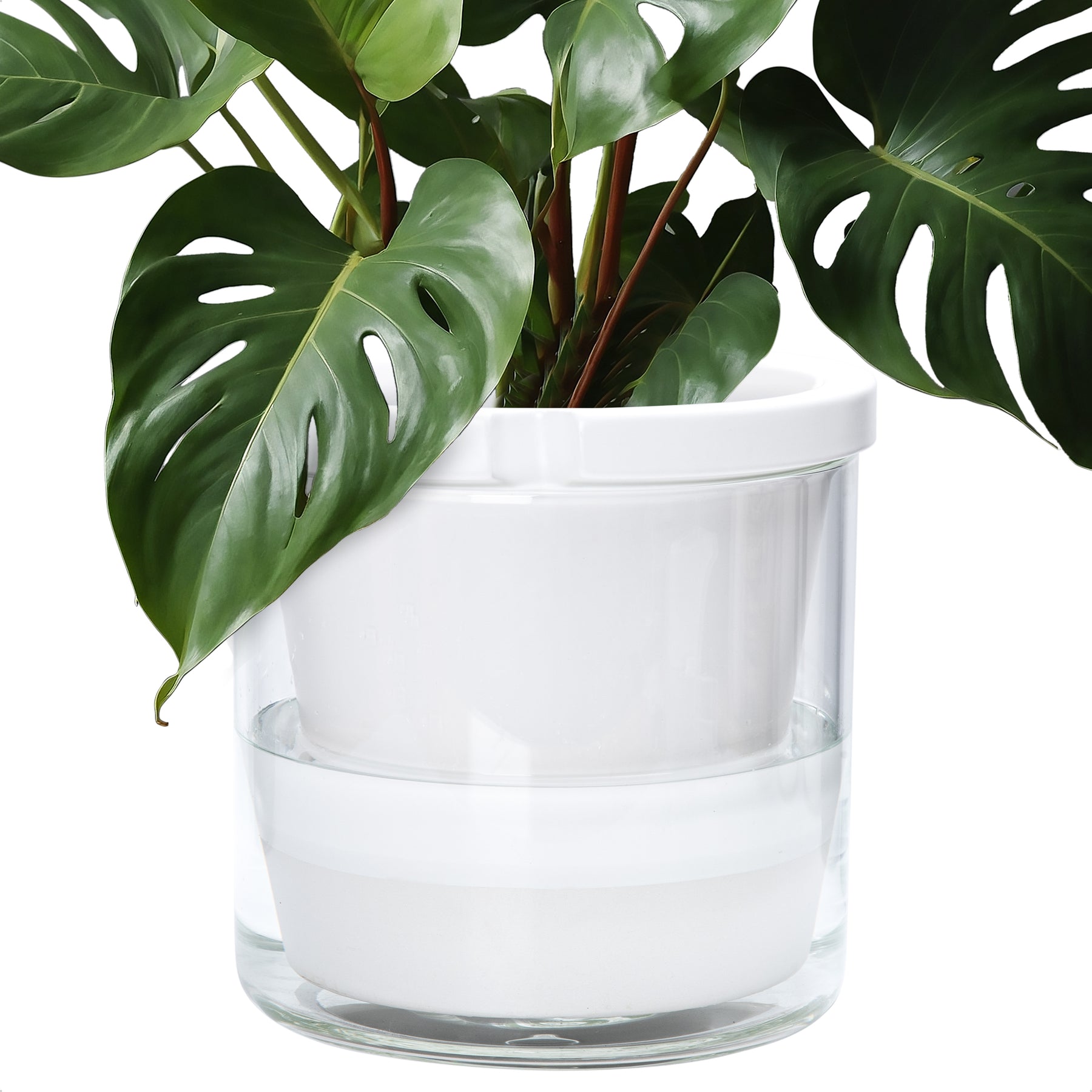 self watering pots indoor plants D'vine Dev Self Watering Pots, Terracotta Planter with Glass Cup – D'VINE DEV
