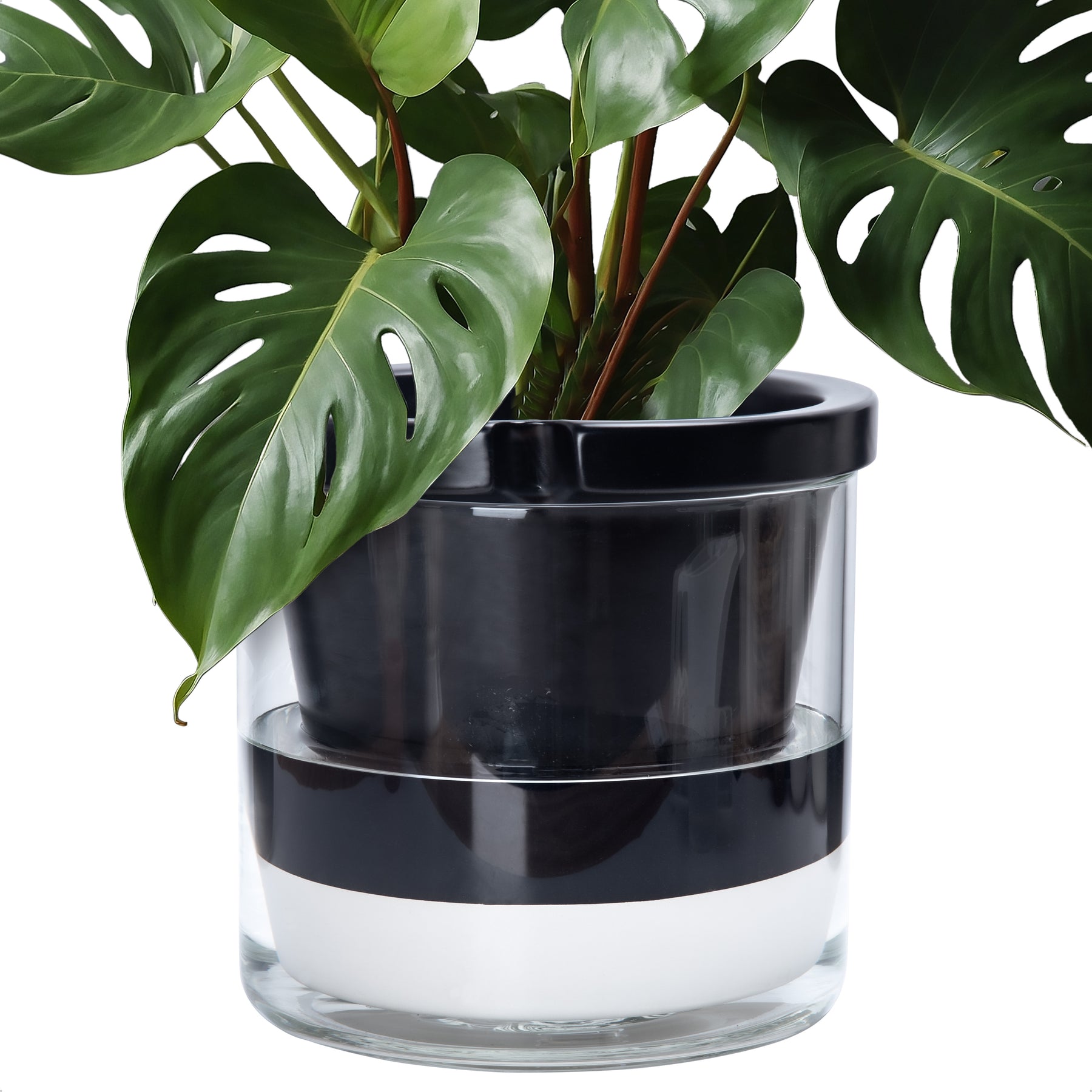 best self watering pots for indoor plants D'vine Dev Self Watering Pots, Terracotta Planter with Glass Cup – D'VINE DEV