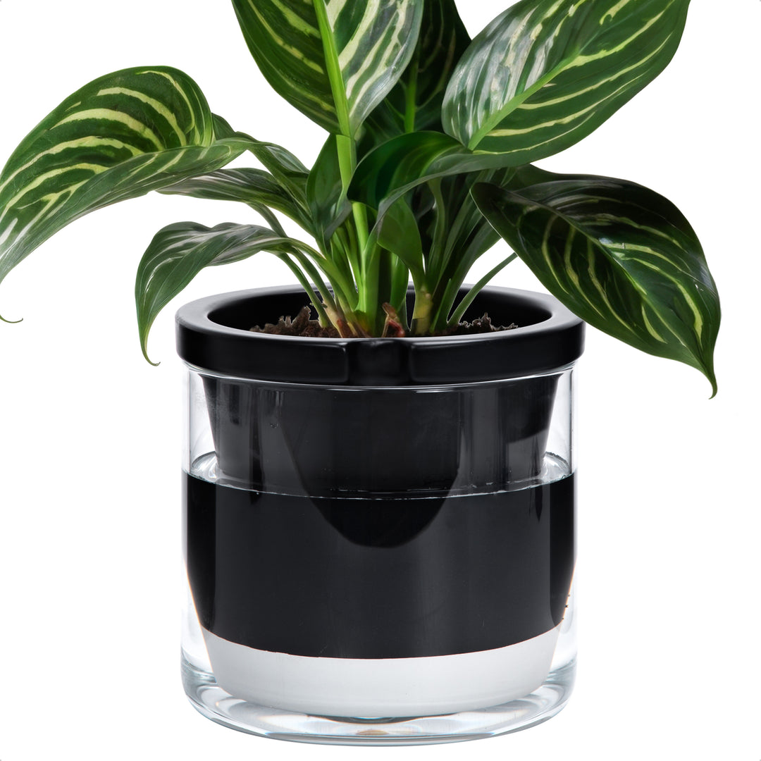 self watering plastic plant pots D'vine Dev Self Watering Pots, Terracotta Planter with Glass Cup – D'VINE  DEV
