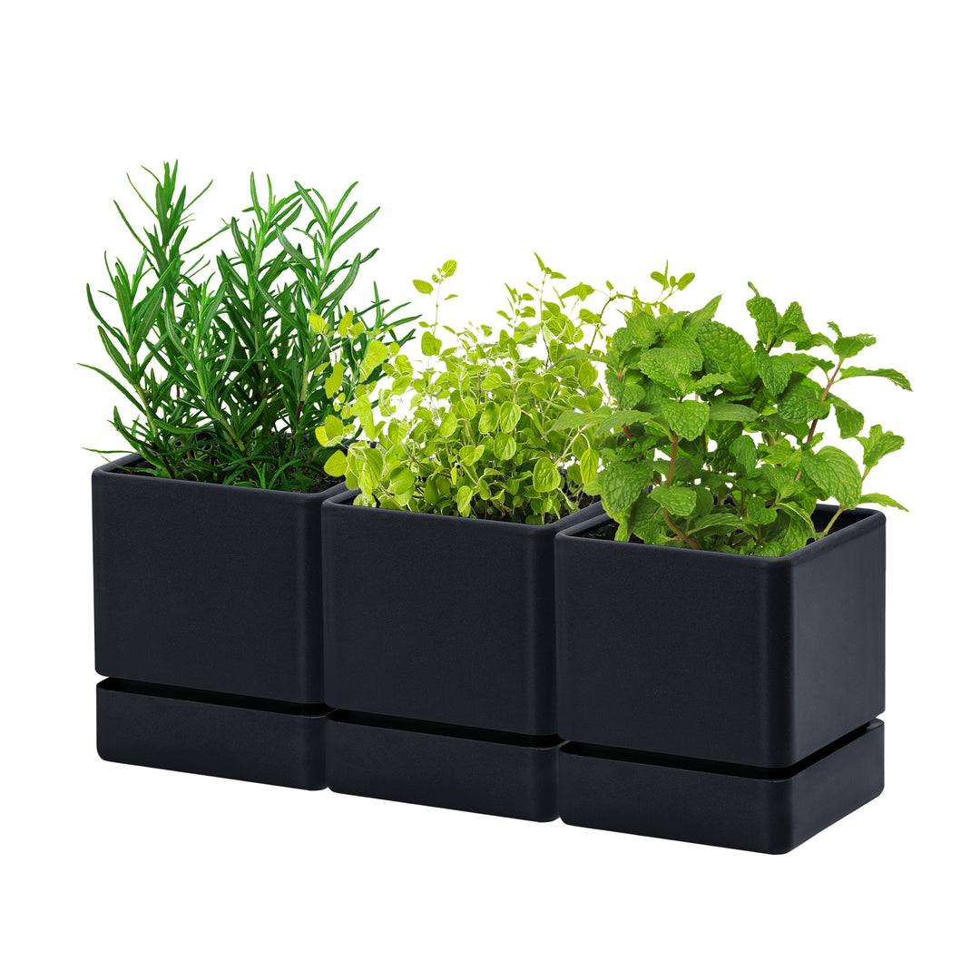 plant saucer bunnings Uncompromising Plastic Herb Planter, 4.5 Inch, Set of 3, Black