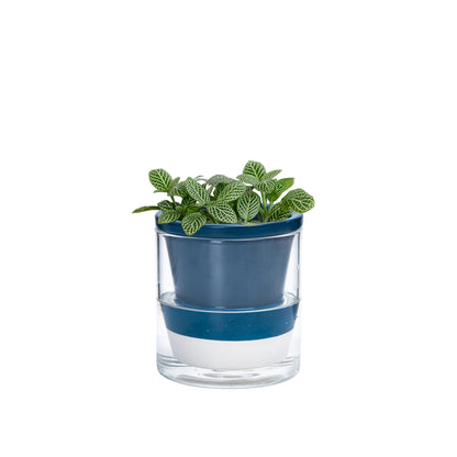 Self Watering Pot for Indoor Plants, Blue, 375