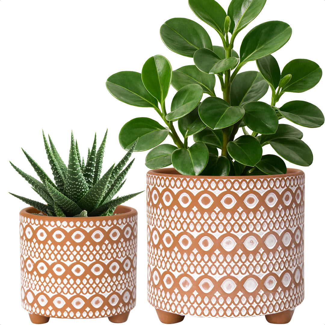 Design Clay Pot with Drainage Hole, Style B  D'VINE DEV