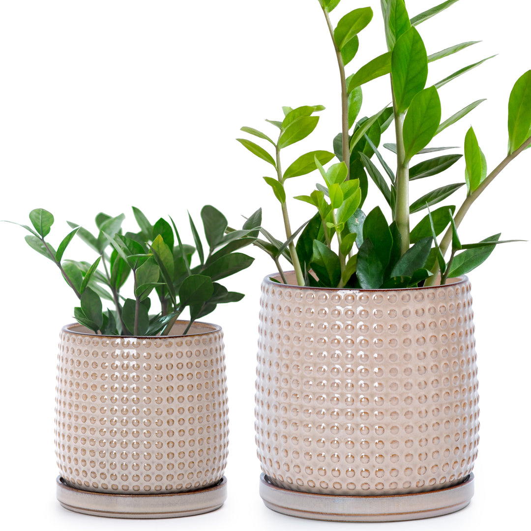 ceramic plant pots canada Design Stoneware Pots, Beaded, 4+6 Inch, Light Brown – D'VINE DEV