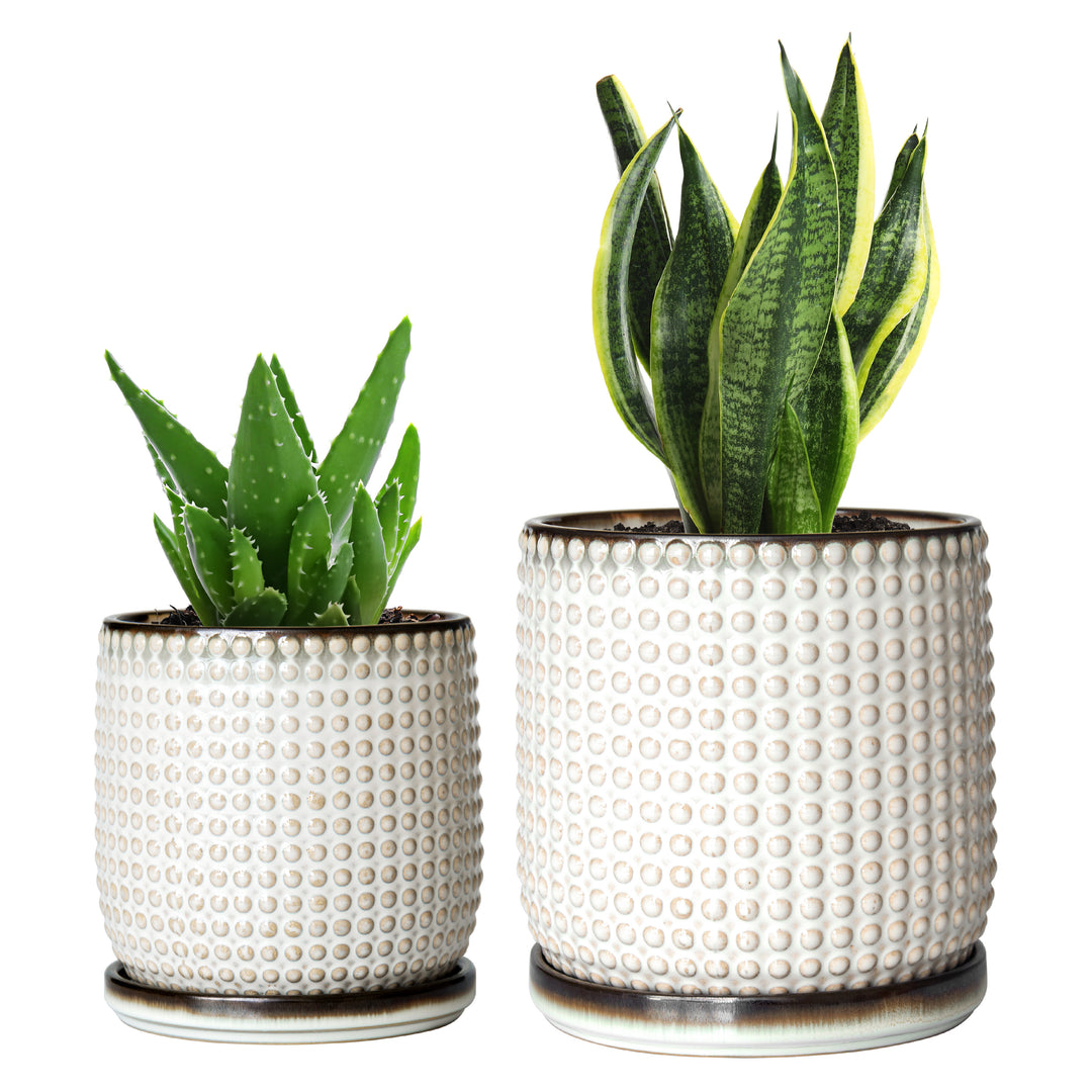 textured white planter pot Design Stoneware Pots, Beaded, 4+6 Inch, Smoked White – D'VINE DEV