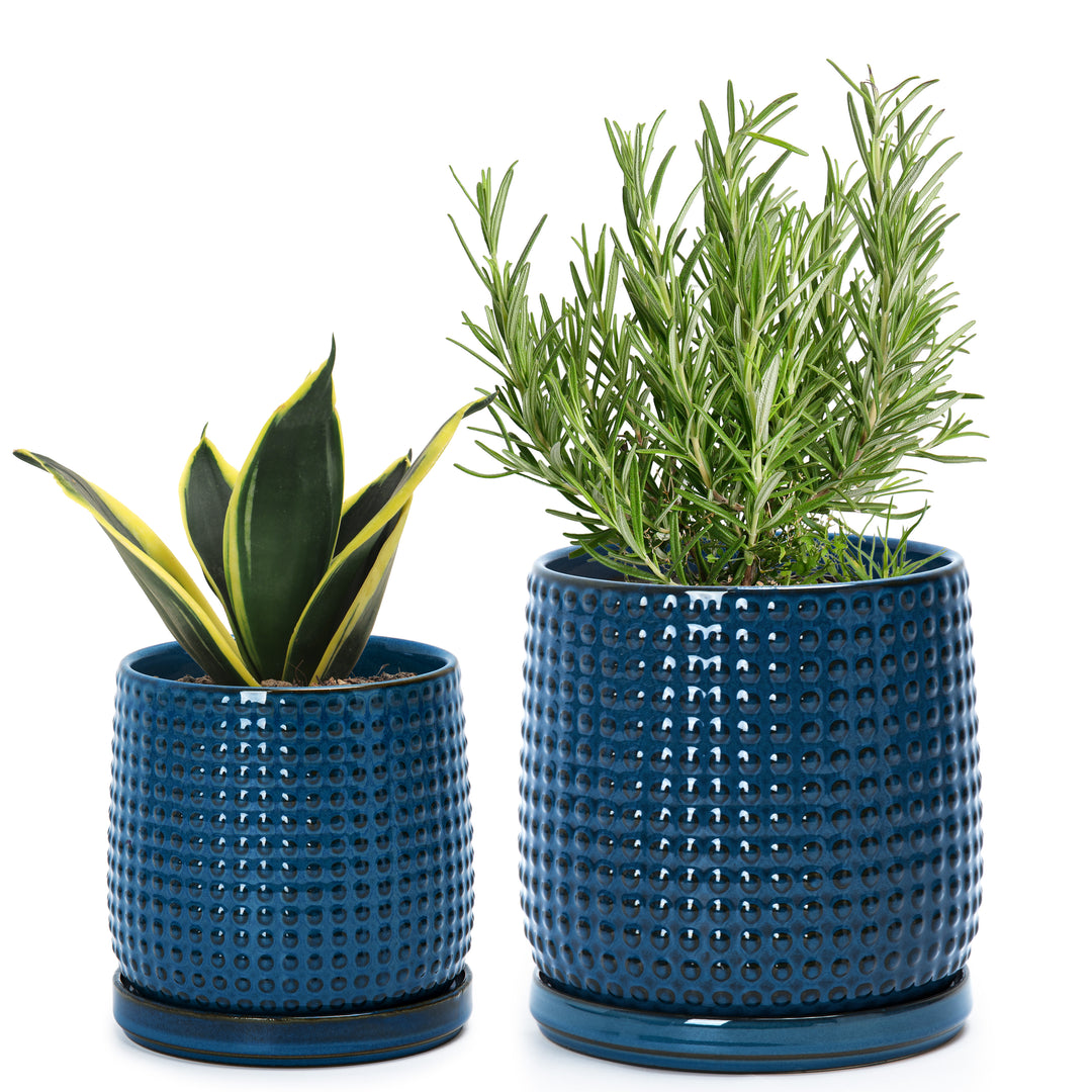 blue and gold plant pot Design Stoneware Pots, Beaded, 4+6 Inch, Blue – D'VINE DEV