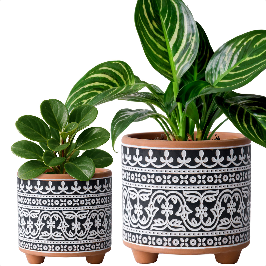 Design Clay Pot with Drainage Hole, Style F – D'VINE DEV
