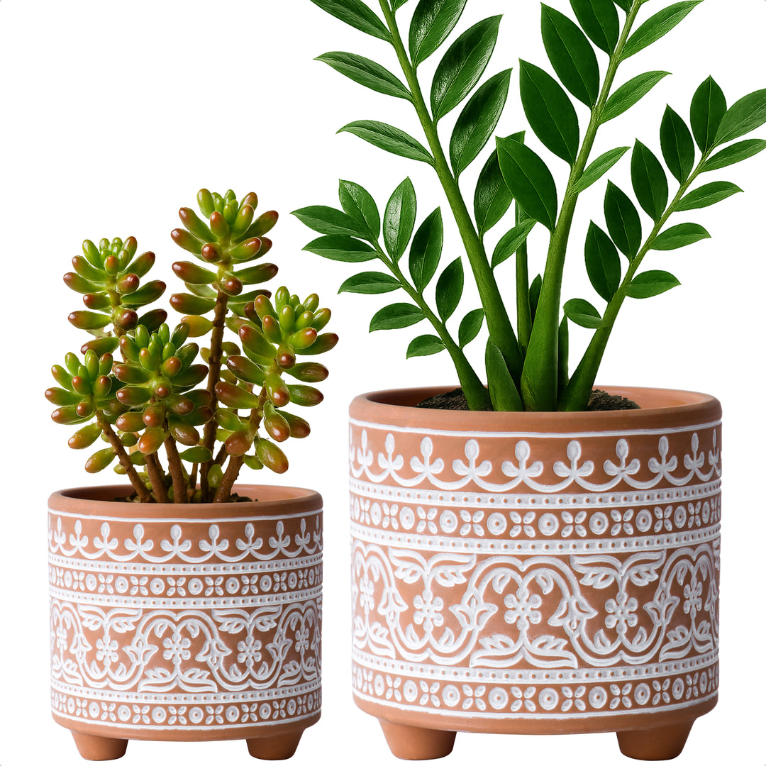 Design Clay Pot with Drainage Hole, Style F – D'VINE DEV